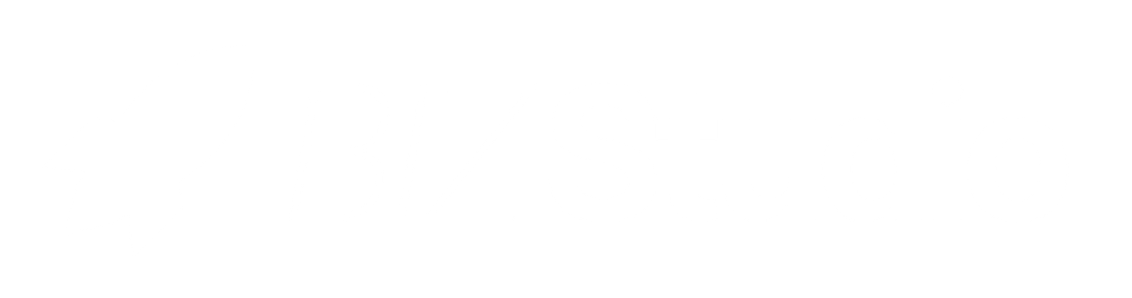 BizStudio
